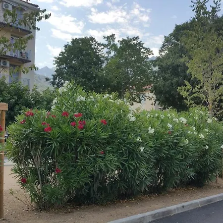 Agreable F4 * Corte (Corsica)